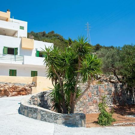 Aloe House Apartment Pirgos  Bagian luar foto