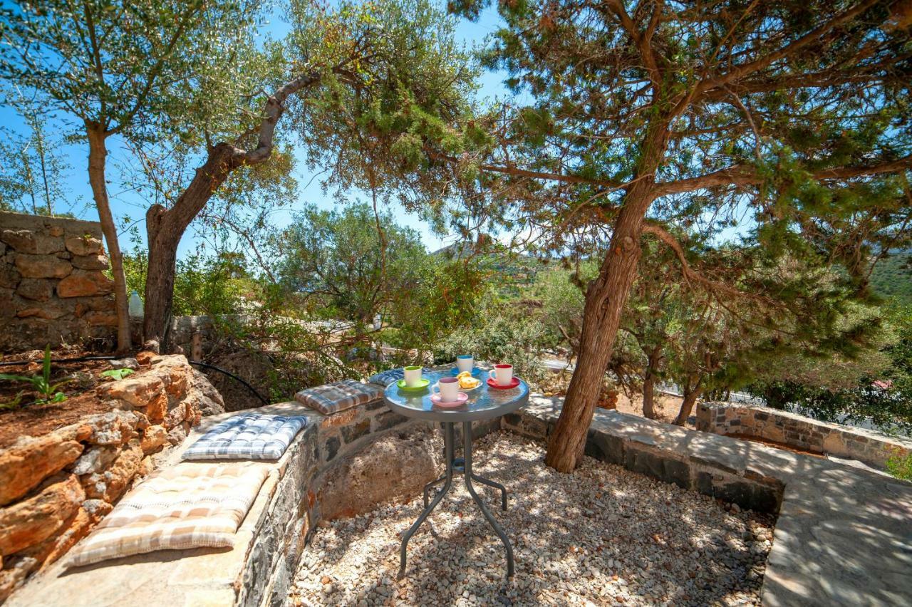 Aloe House Apartment Pirgos  Bagian luar foto